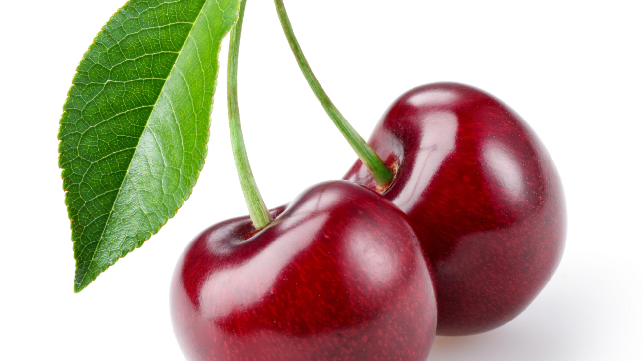 Cherry isolated on white background