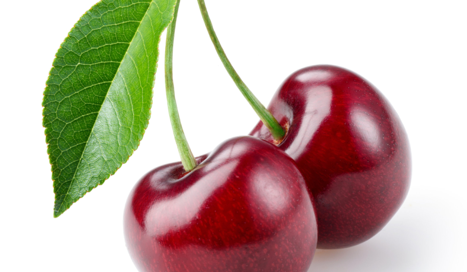 Cherry isolated on white background